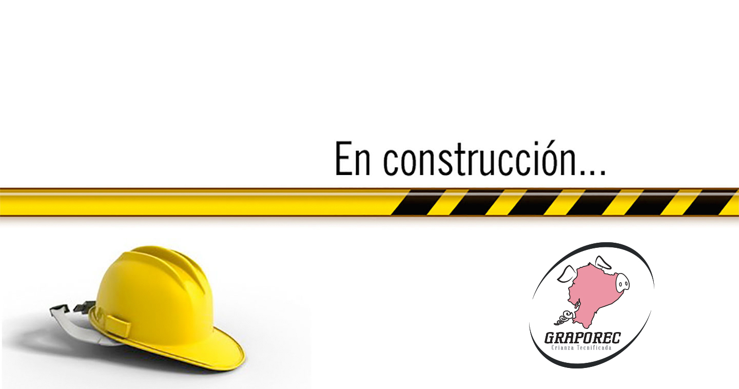 construccion