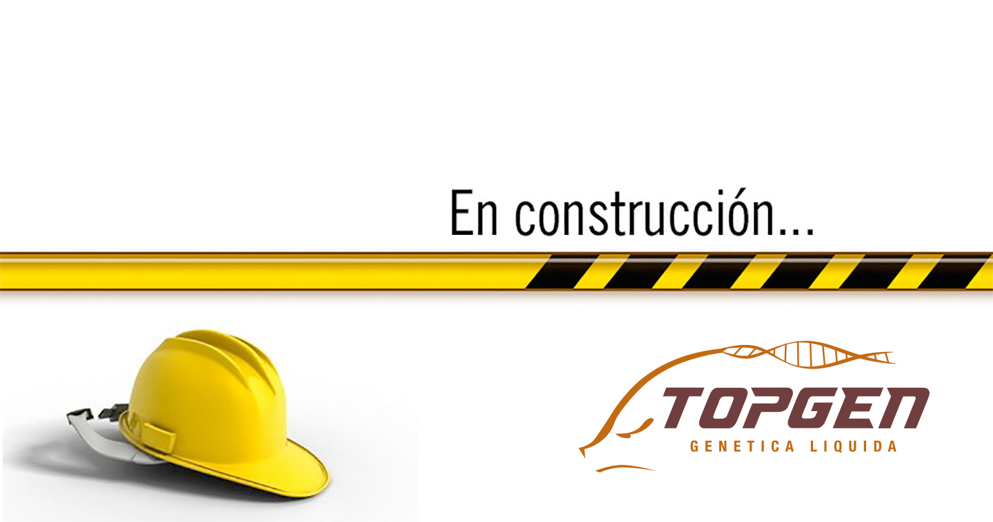 construccion